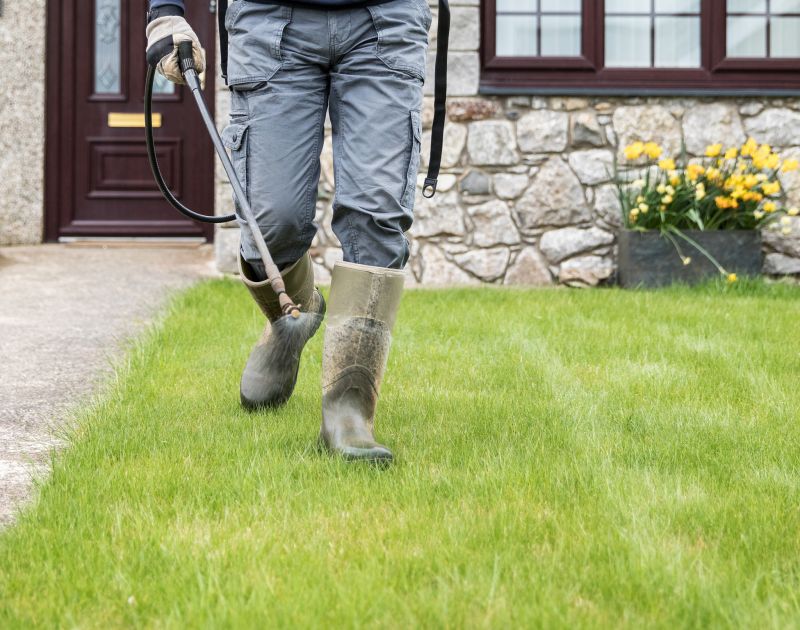 Eco-Friendly Options