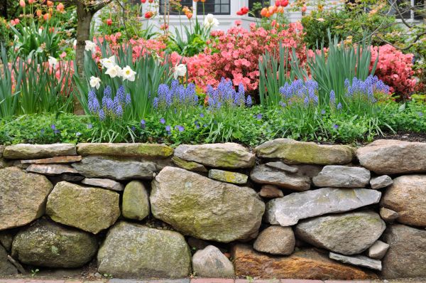 Stone Wall Hardscaping in Bradenton